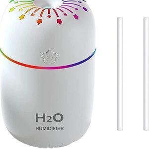 Portable mini humidifier